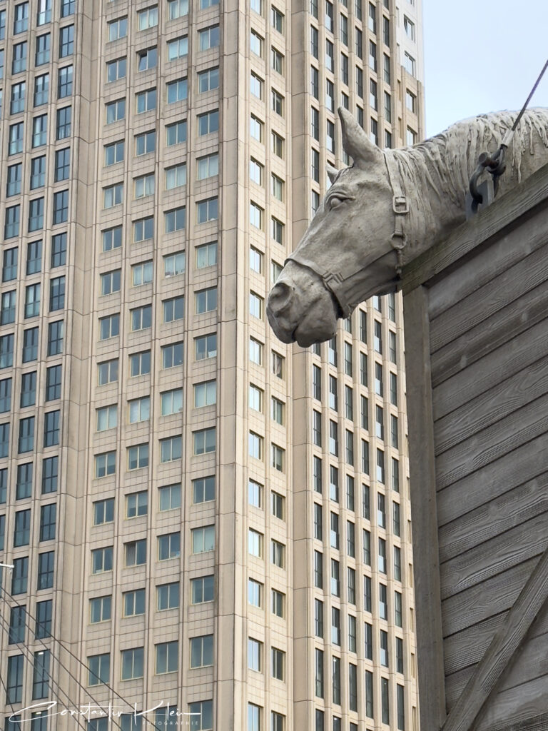 tierisches Frachtgut Rotterdam Hafen